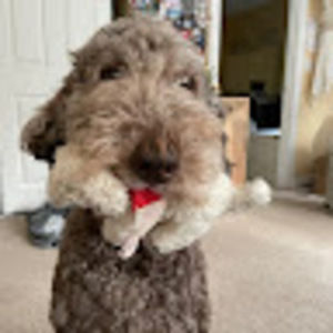 Meet your Posher, Catherine